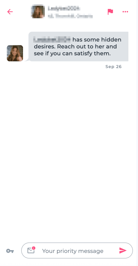 Ashley Madison incoming message and priority message screen